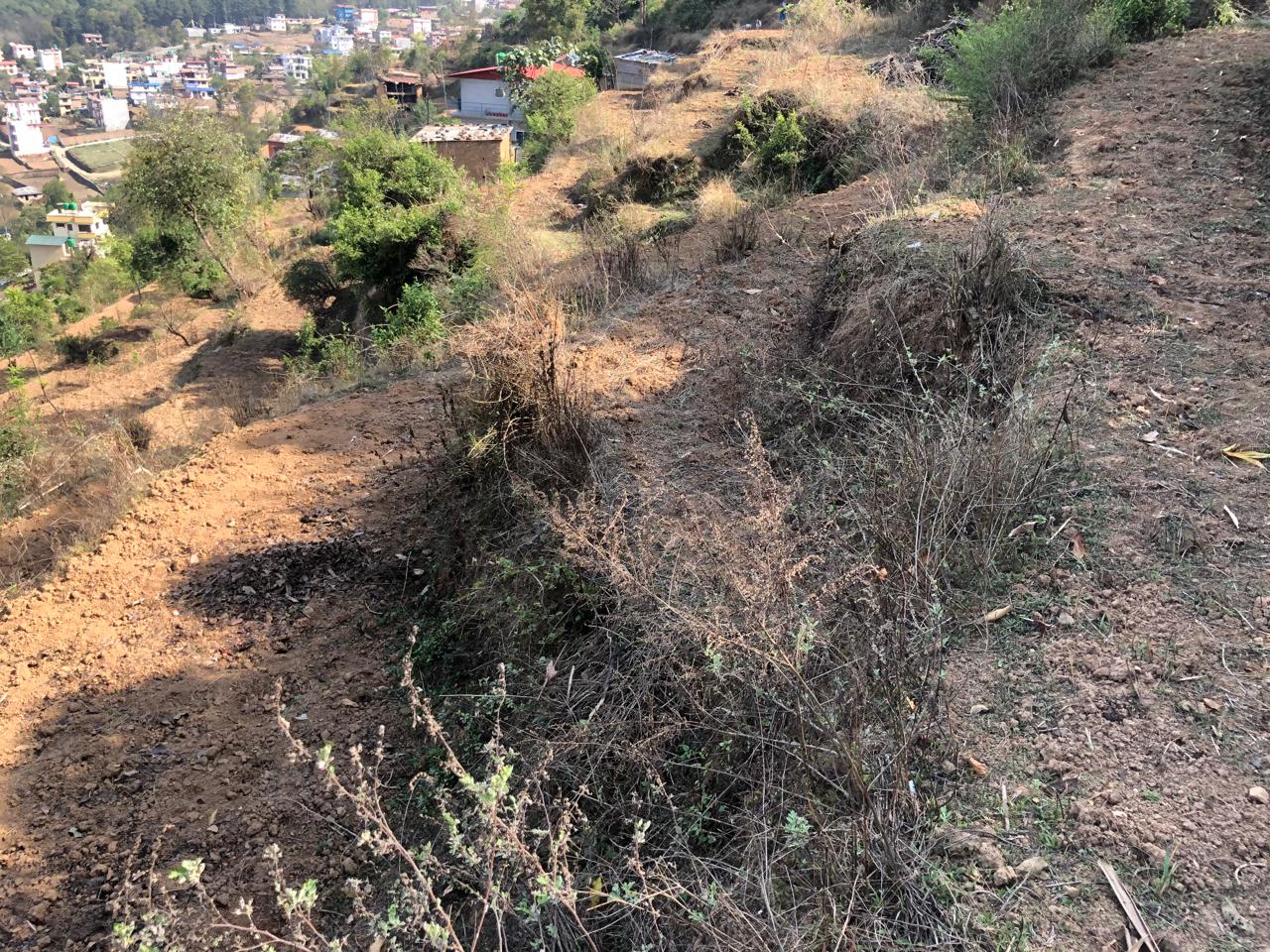 Picture of Kirtipur Municipality, Bagmati